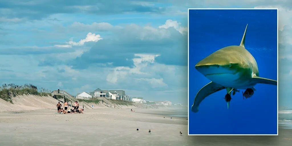 Teenager Attacked by Shark at North Carolina Beach