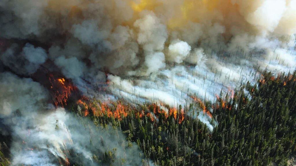 The Impact of a Fast-Moving Wildfire on Jasper in the Canadian Rockies